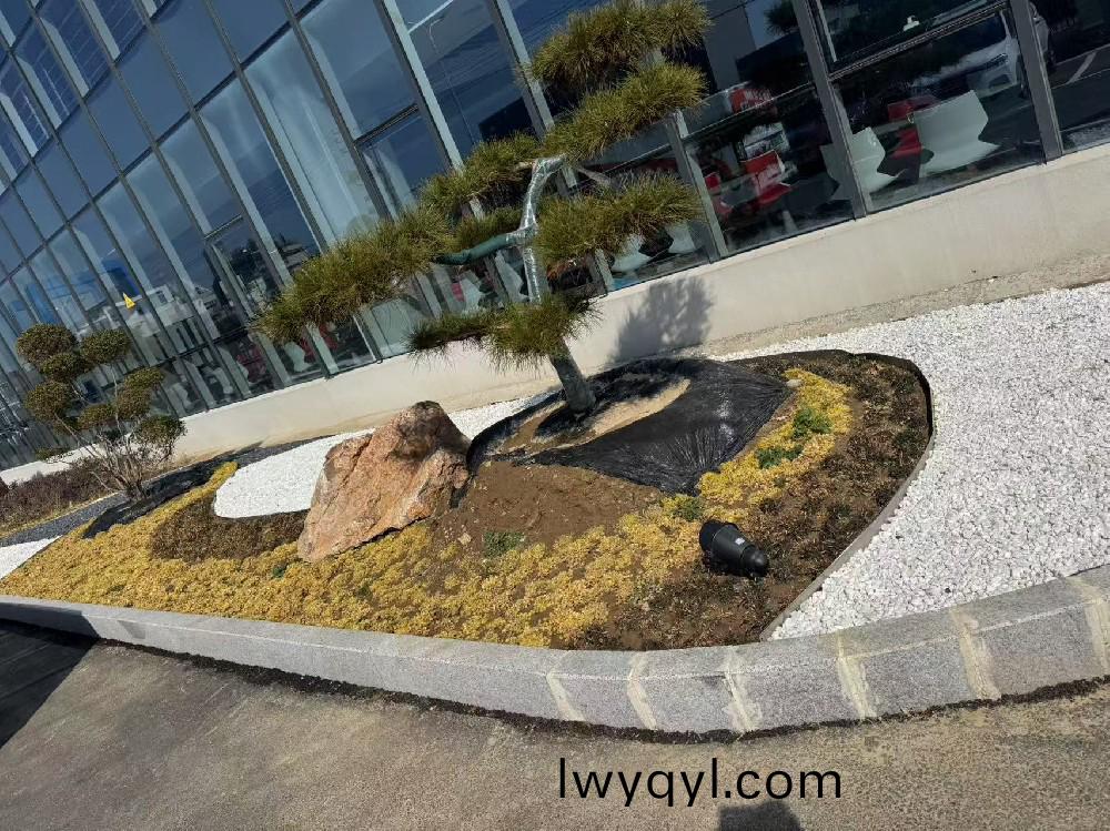 宿迁某瑞森企业厂房内部绿化